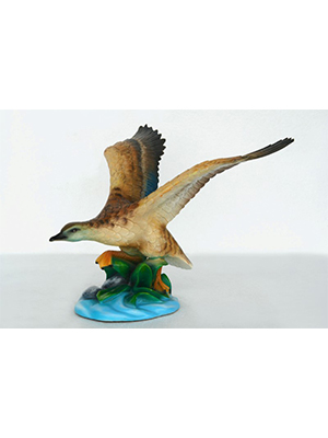 Duck Taking Off Duck Taking Off