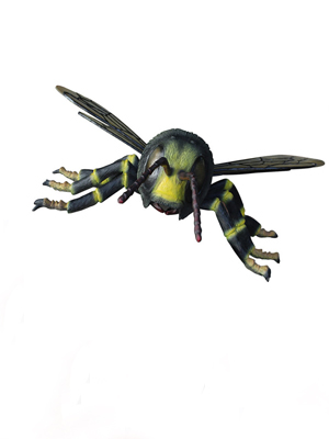 Insect Statues  Insect Statues