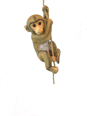 Jungle Animals  Jungle Animals