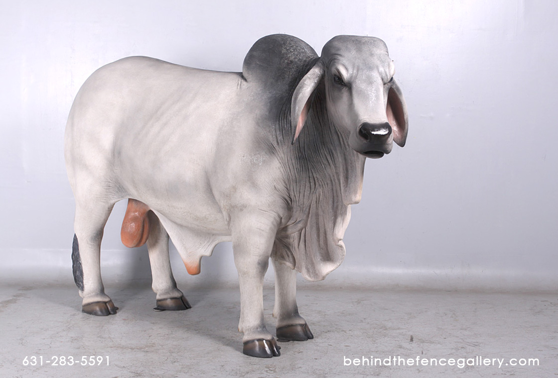 Brahman Bull Statue - Gray Brahman Bull Statue - Gray