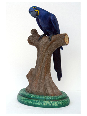 Hyacinth Macaw 3 ft. Hyacinth Macaw 3 ft.