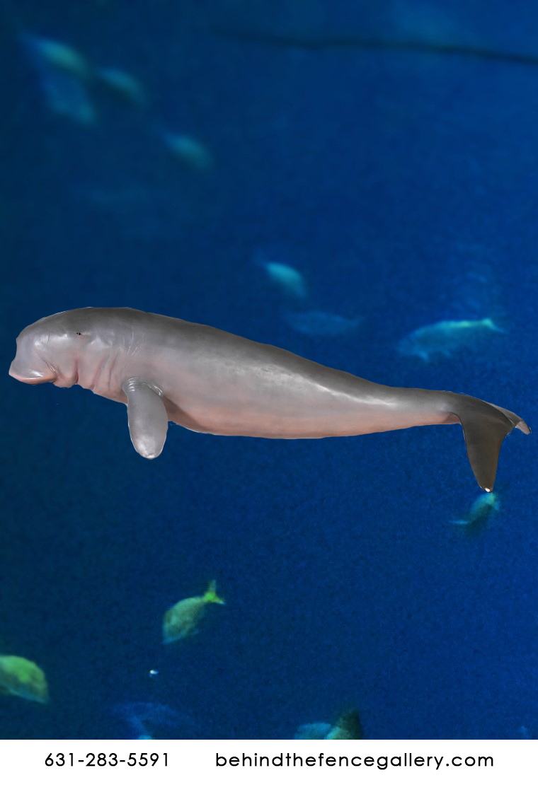 9 Ft Manatee Statue (Hanging) 9 Ft Manatee Statue (Hanging)