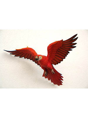 Parrot Flying (Red) Parrot Flying (Red)