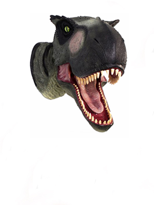 Animal Heads  Animal Heads
