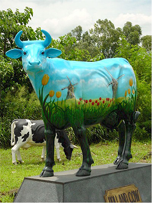 " Holland " Cow (with or without Horns) " Holland " Cow (with or without Horns)