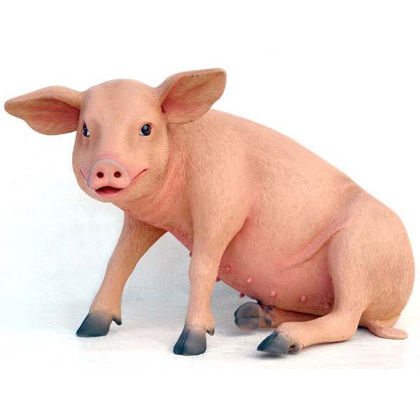 Pig Sitting Pig Sitting