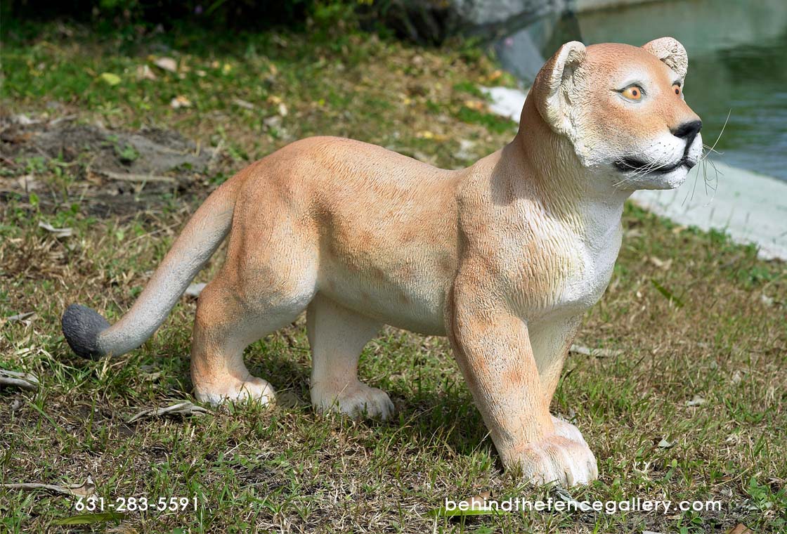 Lion Cub Standing Statue Lion Cub Standing Statue