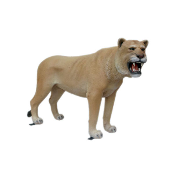 Lioness Standing Lioness Standing