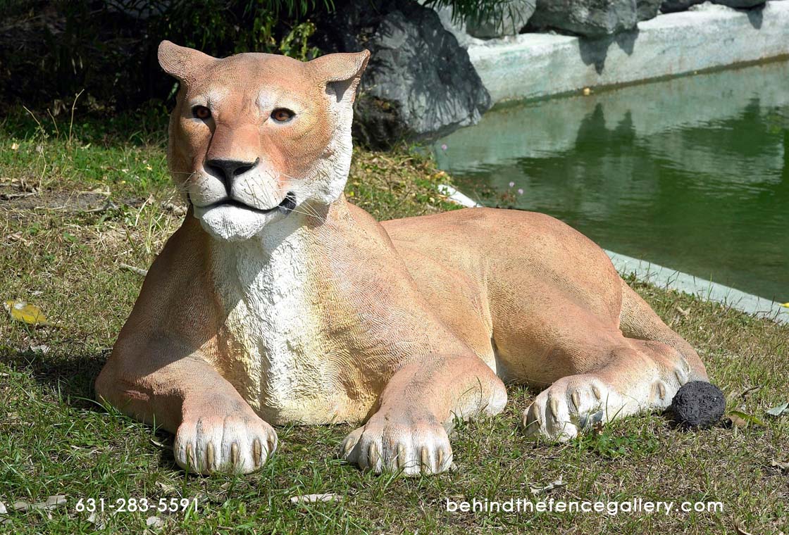 Lioness Lying Down Statue Safari Theme Prop Lioness Lying Down Statue Safari Theme Prop