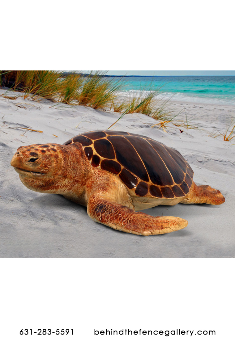 Loggerhead Turtle Statue Loggerhead Turtle Statue