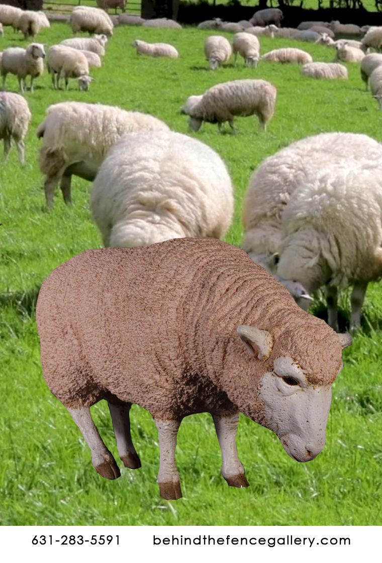 Merino Lamb Ewe Statue Head Down Farm Animal Prop Merino Lamb Ewe Statue Head Down Farm Animal Prop