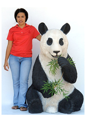 Panda Bear Sitting Panda Bear Sitting