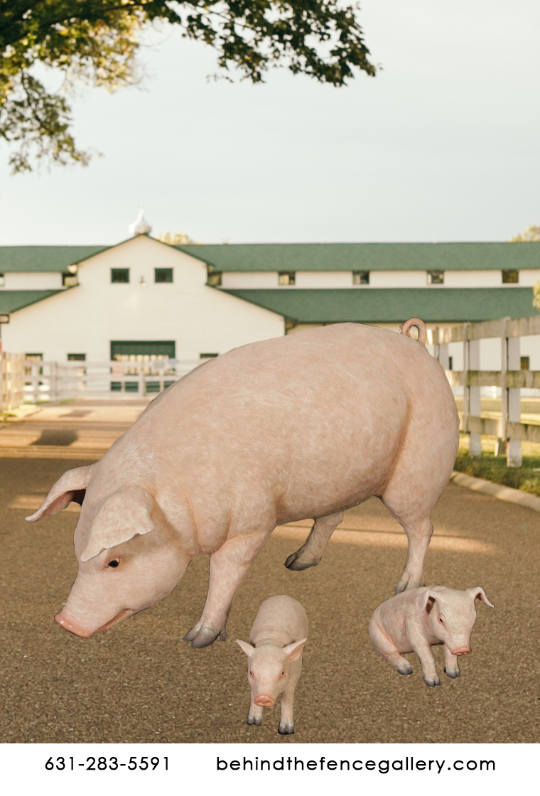 Adorable Pig Family  Adorable Pig Family