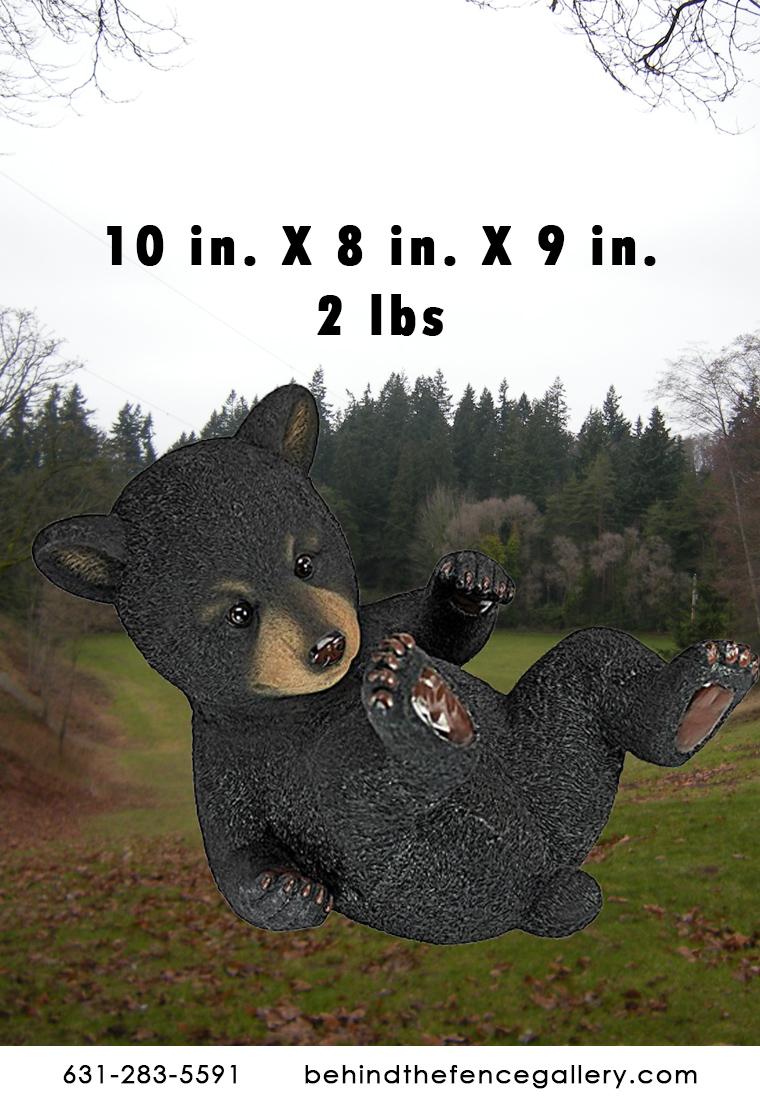 Playful Bear Cub Playful Bear Cub