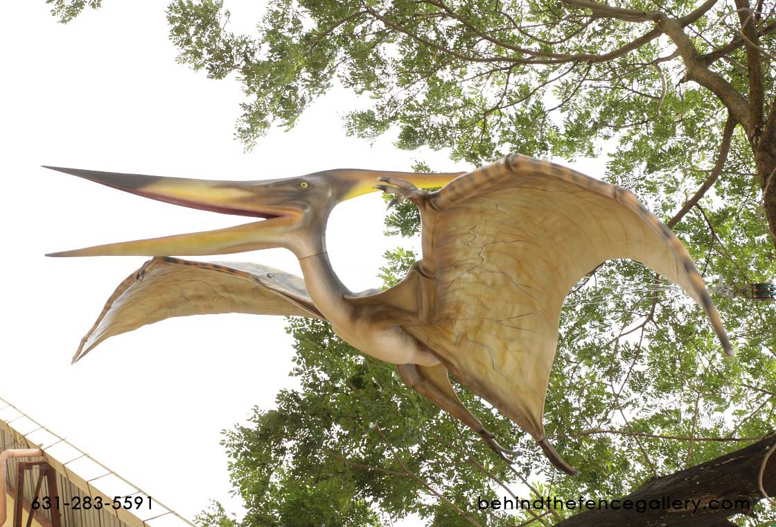 Dinosaur Statue Giant Pteranodon Bird Dinosaur Statue Giant Pteranodon Bird