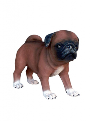 Pug Dog Puppy 2 Pug Dog Puppy 2