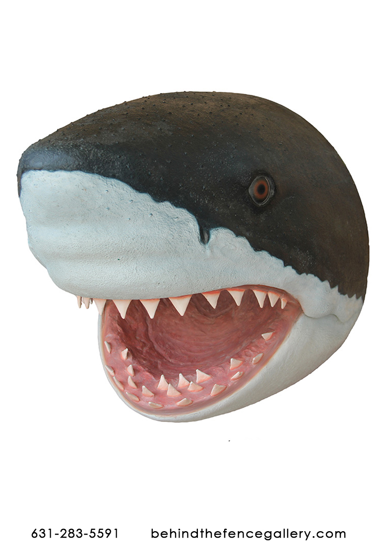 Shark Head Wall Mount Shark Head Wall Mount