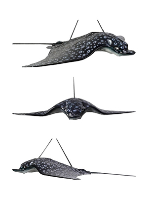 Fiberglass Spotted Eagle Ray Hanging Statue Fiberglass Spotted Eagle Ray Hanging Statue