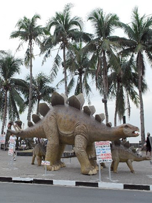 Adult Stegosaurus Adult Stegosaurus