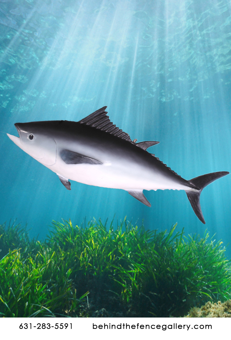 Hanging Tuna Fish Wall Decor Hanging Tuna Fish Wall Decor